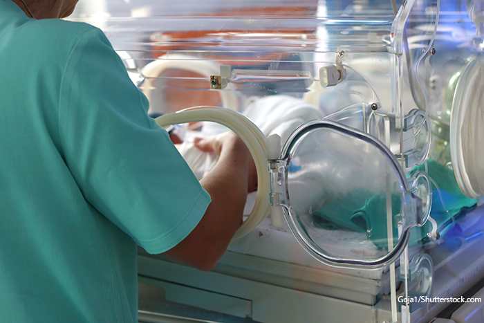 premature infant in incubator